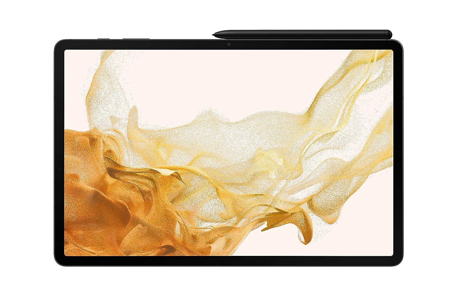 Tab S8+_Graphite